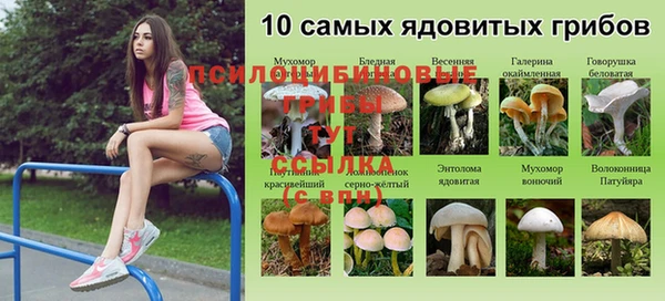мдма Вязьма