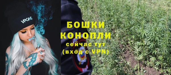 твердый Ессентукская