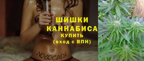 эйфоретик Вяземский