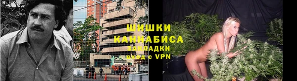 меф Санкт-Петербург