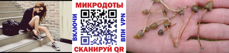 Псилоцибиновые грибы GOLDEN TEACHER  Купить закладки  Козловка 